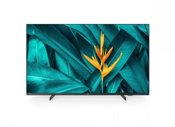 50-inch Philips MediaSuite Pro TV with a modern black frame. The screen displays green leaves and a yellow flower.