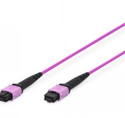 Purple MPO female connector on both ends, long cables with black and purple details.